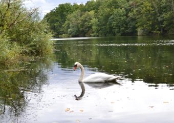 2021-09_KrummeLanke-Lauf_21.jpg