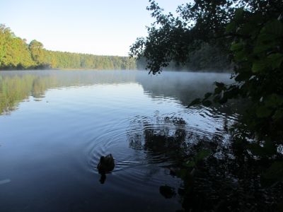Lauf um die Krumme Lanke