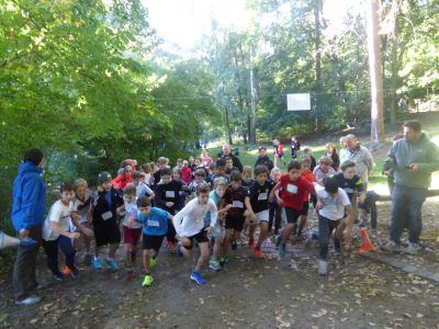 Waldlauf_2015_003.jpg