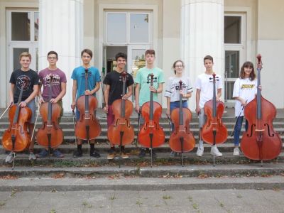 Orchester 2: Celli & Bass