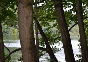 2021-09_KrummeLanke-Lauf_05.jpg