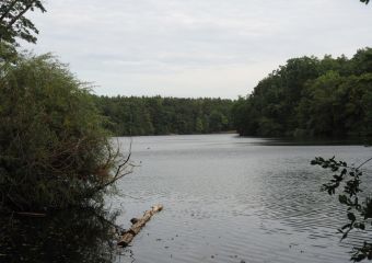 2018_KrummeLanke_004.jpg