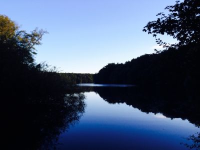 Waldlauf um die Krumme Lanke