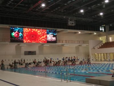Großartiger Erfolg unserer SchwimmerInnen
