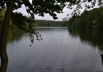 2021-09_KrummeLanke-Lauf_11.jpg
