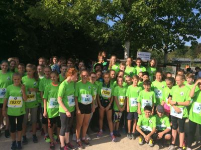Mini Marathon 2016